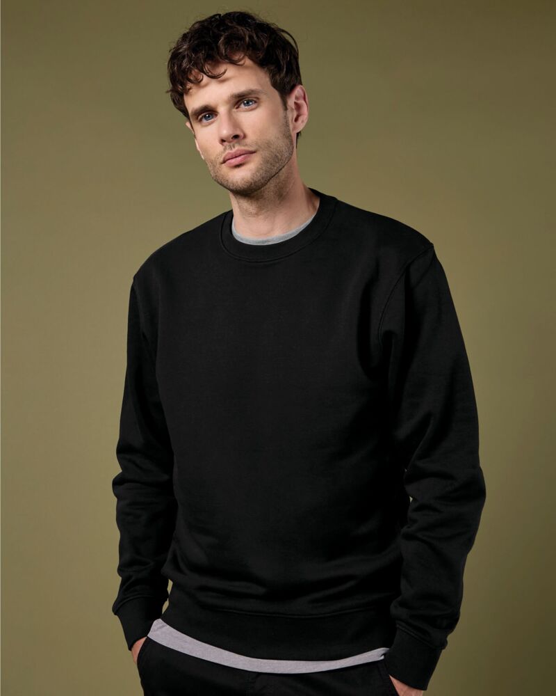 Regular Fit Sweatshirt Thumbnail